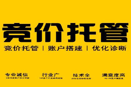 百度竞价代运营公司成功案例：从零到一的营销奇迹